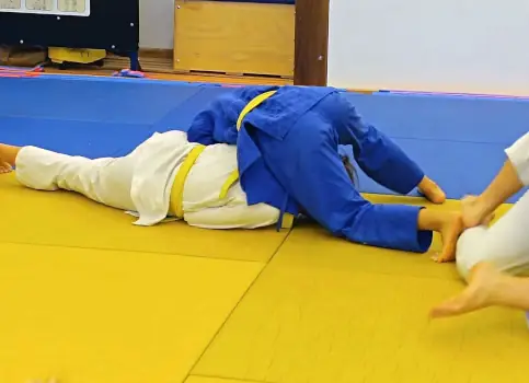 ziua internationala a judo-ului